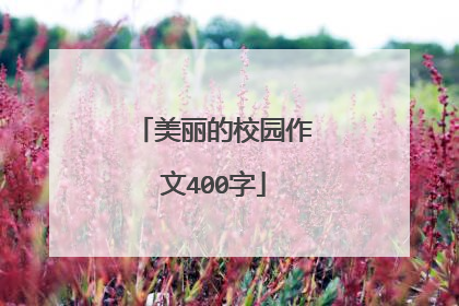 美丽的校园作文400字