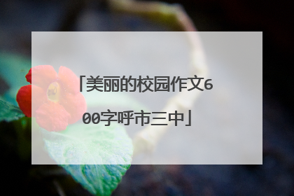美丽的校园作文600字呼市三中
