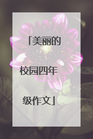 美丽的校园四年级作文