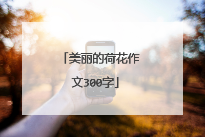 美丽的荷花作文300字