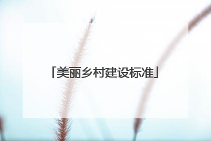 美丽乡村建设标准
