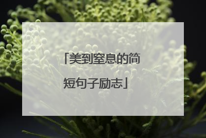 美到窒息的简短句子励志