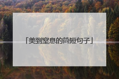 美到窒息的简短句子