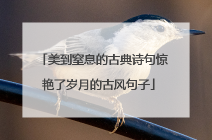 美到窒息的古典诗句惊艳了岁月的古风句子