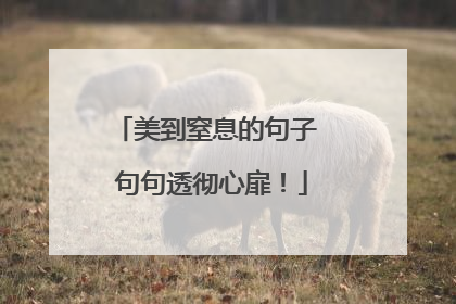 美到窒息的句子 句句透彻心扉!