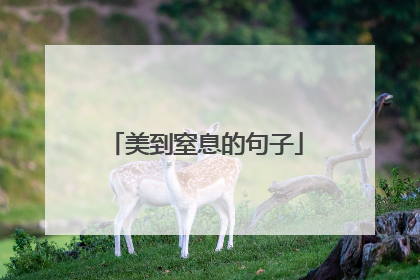 美到窒息的句子