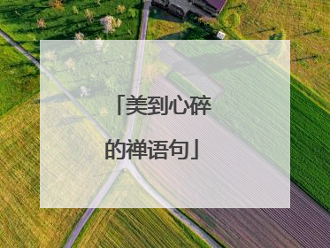美到心碎的禅语句