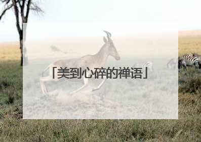 美到心碎的禅语