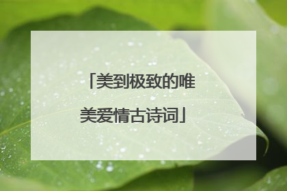 美到极致的唯美爱情古诗词