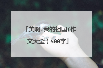 美啊!我的祖国(作文大全）500字