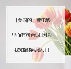 美国的一部电影 里面有句台词 因为我知道你要离开