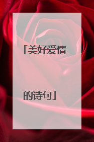 美好爱情的诗句