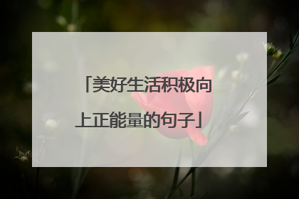 美好生活积极向上正能量的句子
