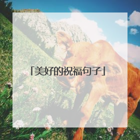 美好的祝福句子