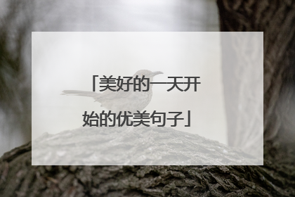 美好的一天开始的优美句子