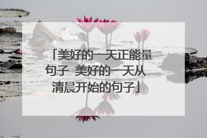 美好的一天正能量句子 美好的一天从清晨开始的句子