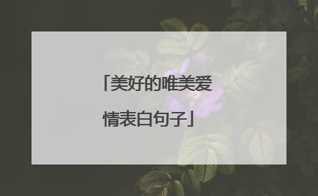 美好的唯美爱情表白句子
