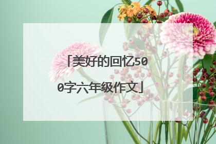 美好的回忆500字六年级作文