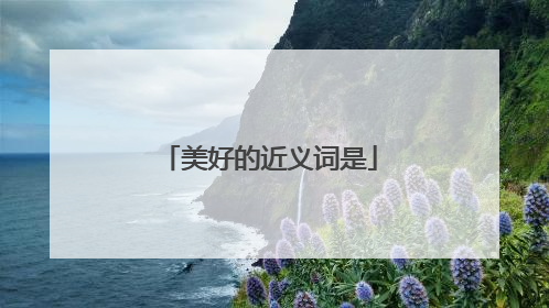 美好的近义词是