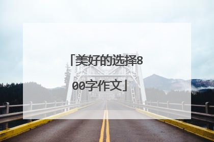 美好的选择800字作文