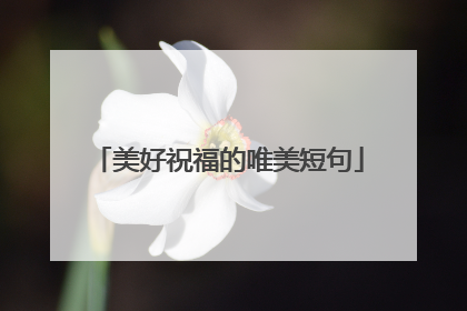 美好祝福的唯美短句