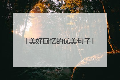 美好回忆的优美句子