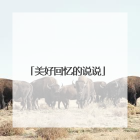 美好回忆的说说
