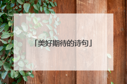 美好期待的诗句