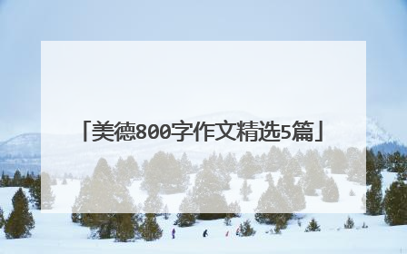 美德800字作文精选5篇