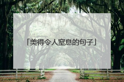 美得令人窒息的句子