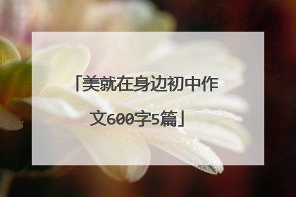 美就在身边初中作文600字5篇