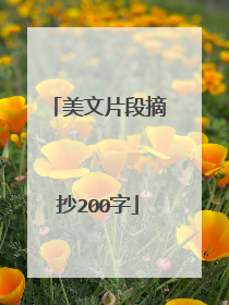 美文片段摘抄200字
