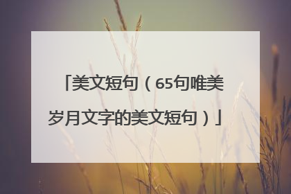 美文短句（65句唯美岁月文字的美文短句）