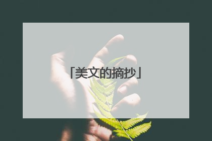 美文的摘抄