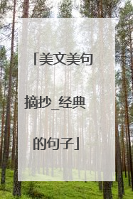 美文美句摘抄_经典的句子