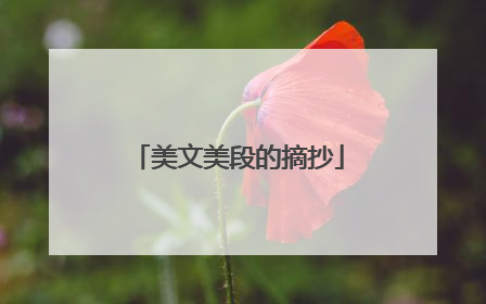 美文美段的摘抄