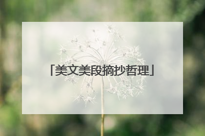 美文美段摘抄哲理