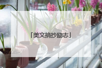 美文摘抄励志