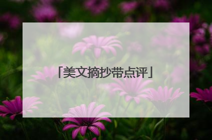 美文摘抄带点评