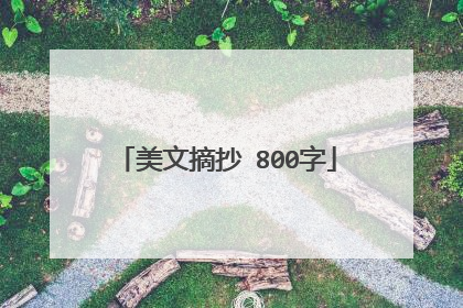 美文摘抄 800字