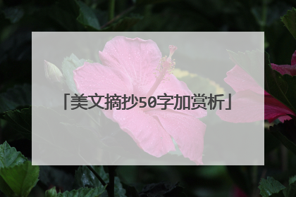 美文摘抄50字加赏析