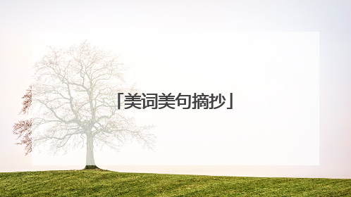 美词美句摘抄