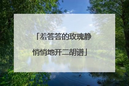 羞答答的玫瑰静悄悄地开二胡谱