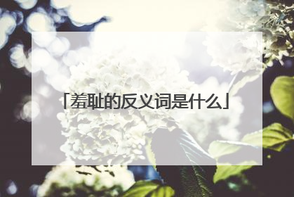 羞耻的反义词是什么