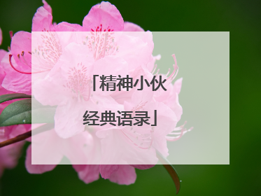 精神小伙经典语录