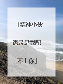 精神小伙语录是我配不上你