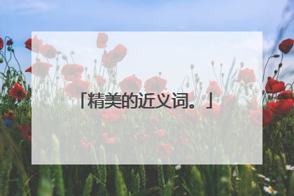 精美的近义词。