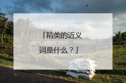 精美的近义词是什么?