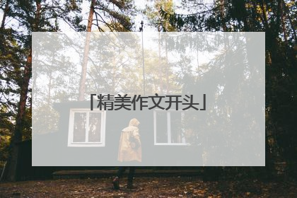 精美作文开头