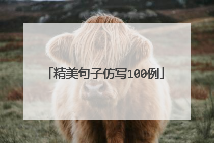 精美句子仿写100例